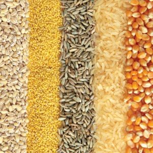 Feed Ingredients
